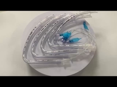 ống nội quản trước được tạo thành bằng đường uống