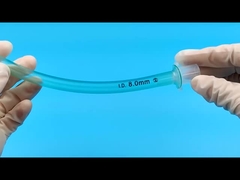 Đường thở mũi họng