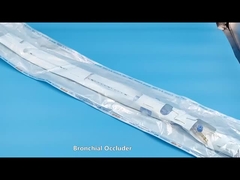 Ống chặn nội phế quản